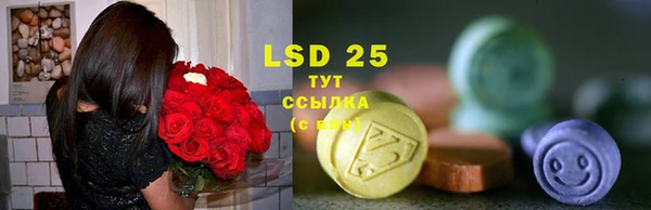 ECSTASY Белокуриха